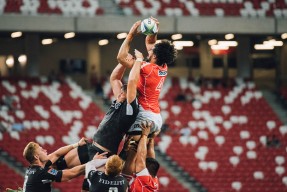 半岛体育 -电竞赛场焦点！巴西队对阵德国队，爆冷逆转，黑马强势击败劲敌